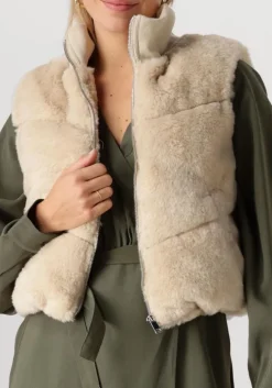 beige another label bodywarmer ellis