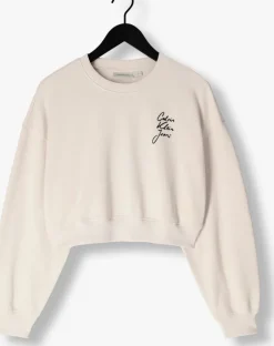 beige calvin klein sweater script institutional crewneck