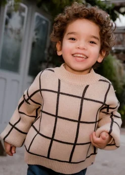 beige daily7 trui knitted sweater big check