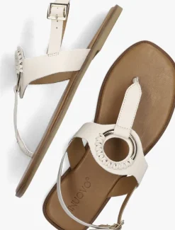 beige inuovo sandalen 981058