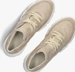 beige lina locchi lage sneakers 04-91