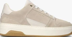 beige nubikk lage sneakers basket court miele