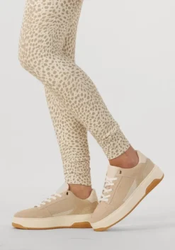 beige nubikk lage sneakers basket court miele