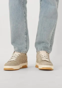 beige nubikk lage sneakers basket court miele