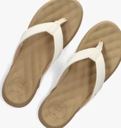 beige reef teenslippers cushion harmony