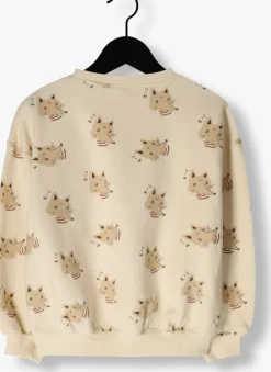 beige rylee + cru sweater relaxed sweatshirt coyote