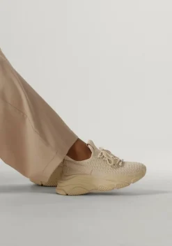 beige steve madden lage sneakers project