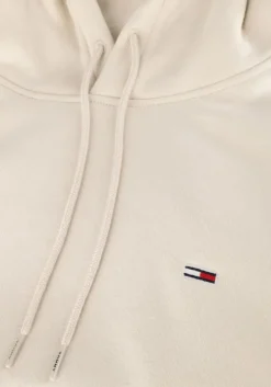 beige tommy jeans truien/vesten tjm reg s flag hoodie