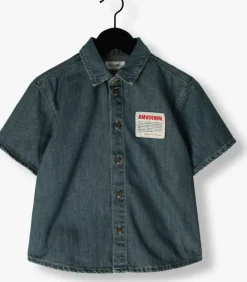 blauwe american vintage overhemd ozyr