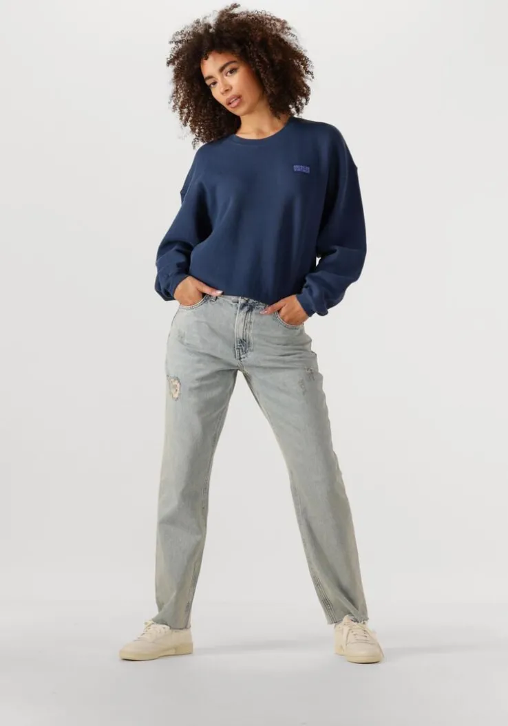 blauwe american vintage sweater izubird d