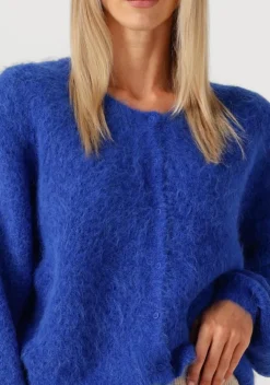 blauwe american vintage vest niby