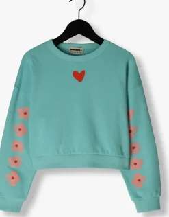 blauwe ammehoela sweater yara