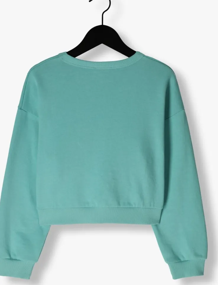 blauwe ammehoela sweater yara