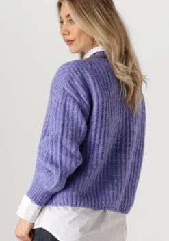 blauwe circle of trust trui joelle knit