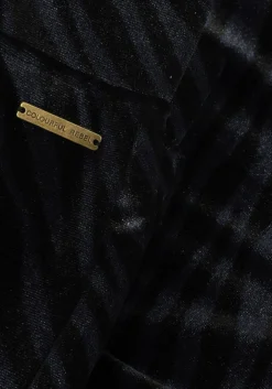 blauwe colourful rebel flared broek jolie zebra velvet flare