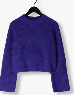 blauwe edited trui salome jumper