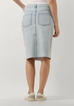 blauwe envii midirok endank