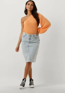 blauwe envii midirok endank