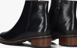 blauwe everybody enkellaarsjes belport