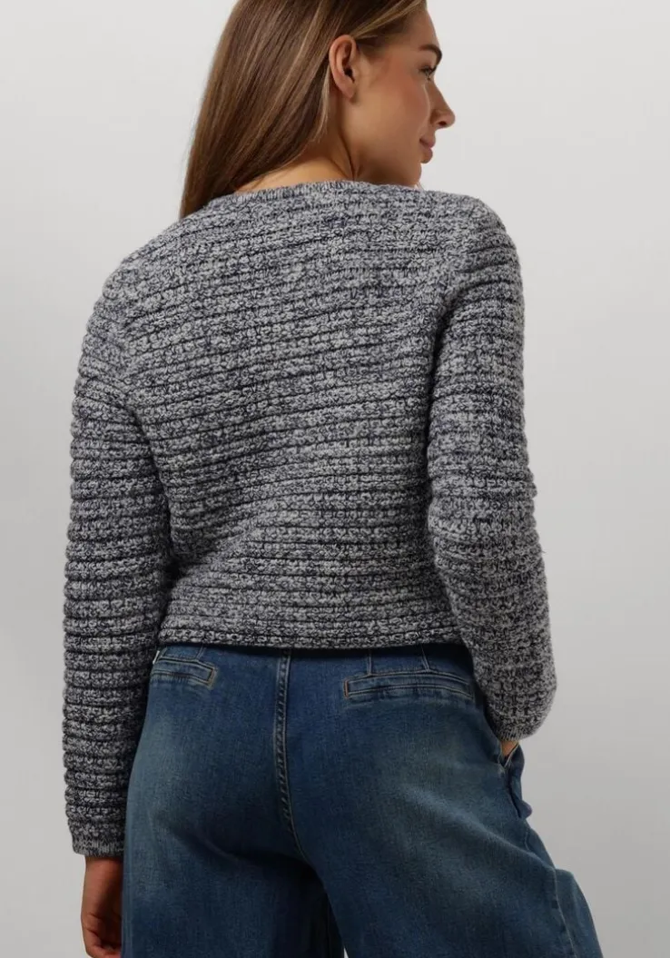 blauwe janice vest jimm