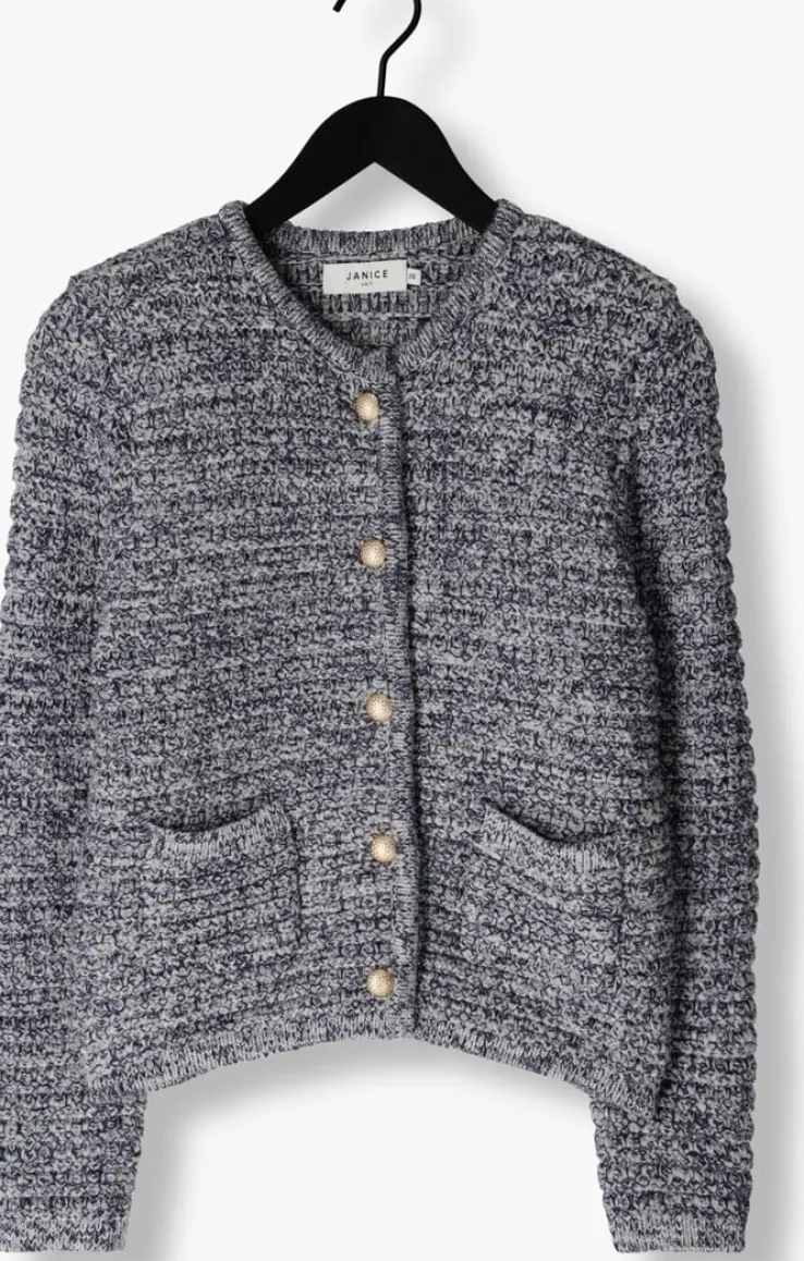 blauwe janice vest jimm