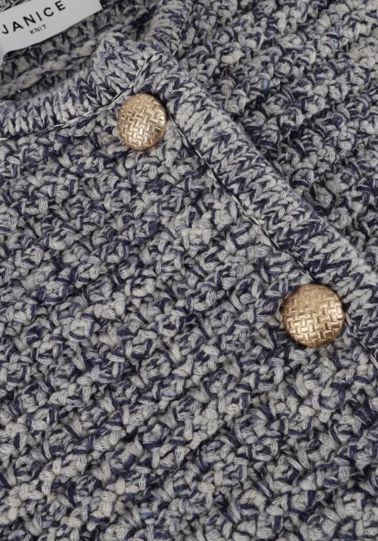 blauwe janice vest jimm