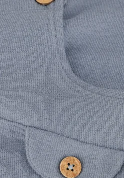blauwe lil' atelier tuinbroeken nbmdias loose overall lil
