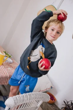 blauwe lötiekids korte broek s25-120-68