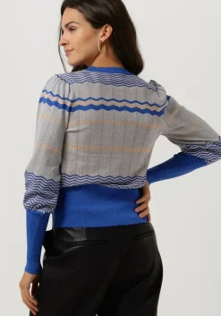blauwe neo noir trui dary stripe knit blouse