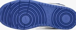 blauwe nike hoge sneakers court borough mid 2 (gs)