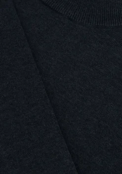 blauwe saint steve coltrui ben