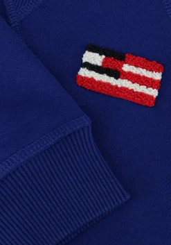 blauwe tommy hilfiger trui hilfiger flag relaxed sweatshirt