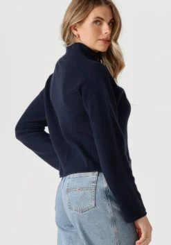 blauwe tommy hilfiger trui gold button polo ls sweater