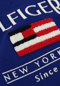 blauwe tommy hilfiger t-shirt hilfiger flag terry emb tee ss