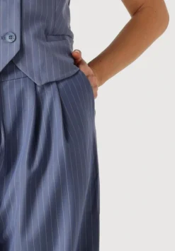 blauwe ydence pantalon pants riley