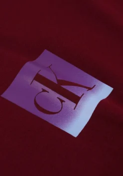 bordeaux calvin klein t-shirt ss classic fit tee