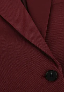 bordeaux haute l'amitié blazer premiere single blazer