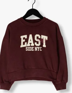 bordeaux raizzed sweater cela