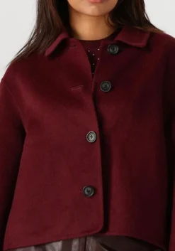 bordeaux studio ar teddy jas nicolina