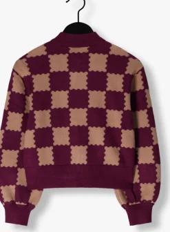 bordeaux vingino vest maniek