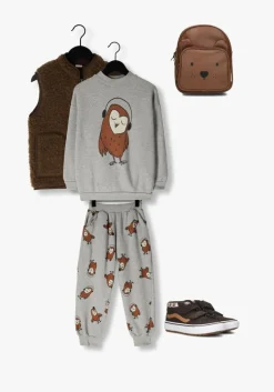 bruine alwero colberts rudi junior