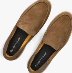 bruine ambitious instappers dan