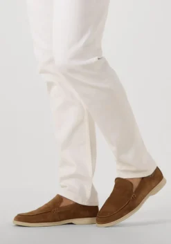 bruine ambitious instappers dan