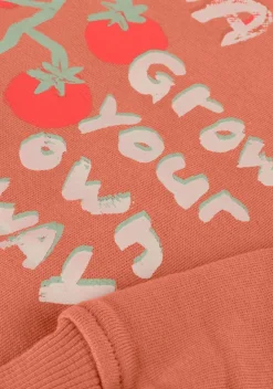 bruine ammehoela sweater am.rocky.62