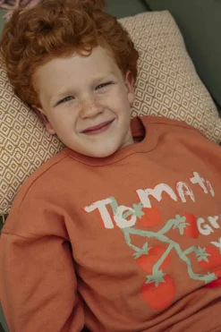 bruine ammehoela sweater am.rocky.62