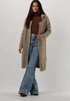 bruine bellamy coltrui lizzy