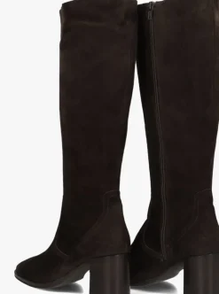 bruine blasz hoge laarzen 106