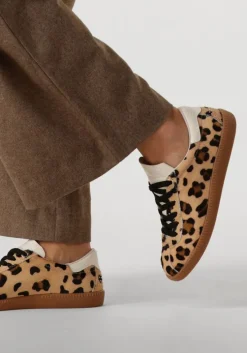 bruine bronx lage sneakers bob-bie 66594