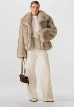 bruine coach schoudertas tabby 20 qlt