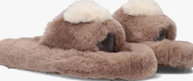 bruine colors of california pantoffels heart